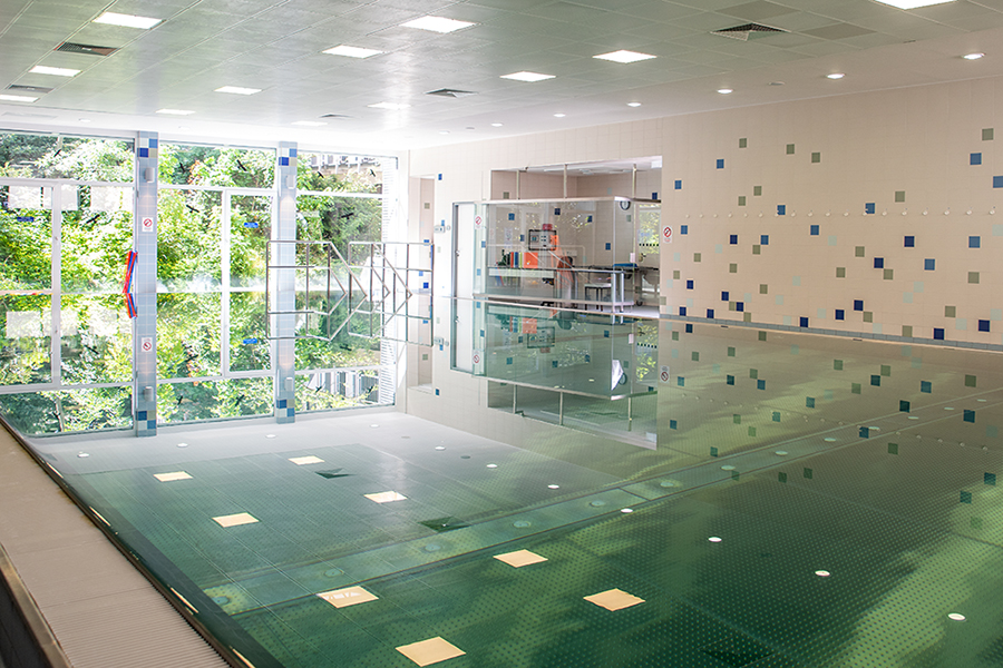 Schwimmbad im Rehabilitationszentrum am Sprudelhof Schwimmbad im Rehabilitationszentrum am Sprudelhof